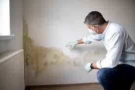 Best Mold Remediation for Healthcare Facilities  in Oasis, CA